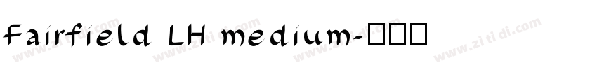 Fairfield LH medium字体转换